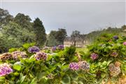 Manoir de Kertalg Finistère